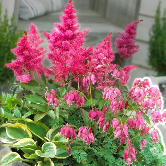 Meet your Posher, H.g. - Picture 1 of 1